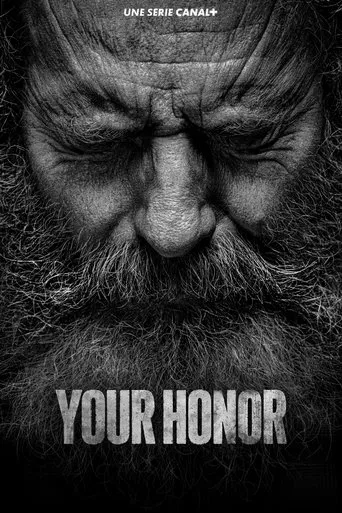 Regarder Your Honor en streaming complet